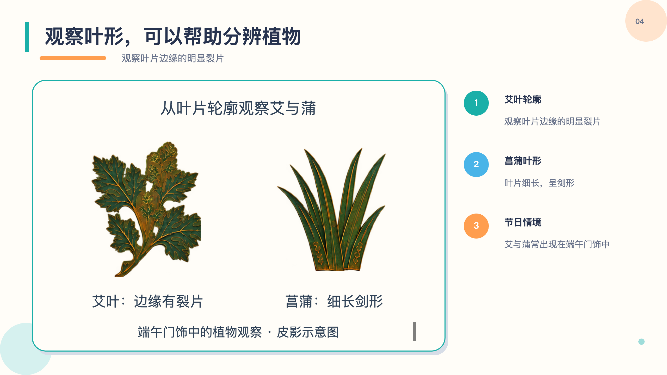 PPT 第 4 页