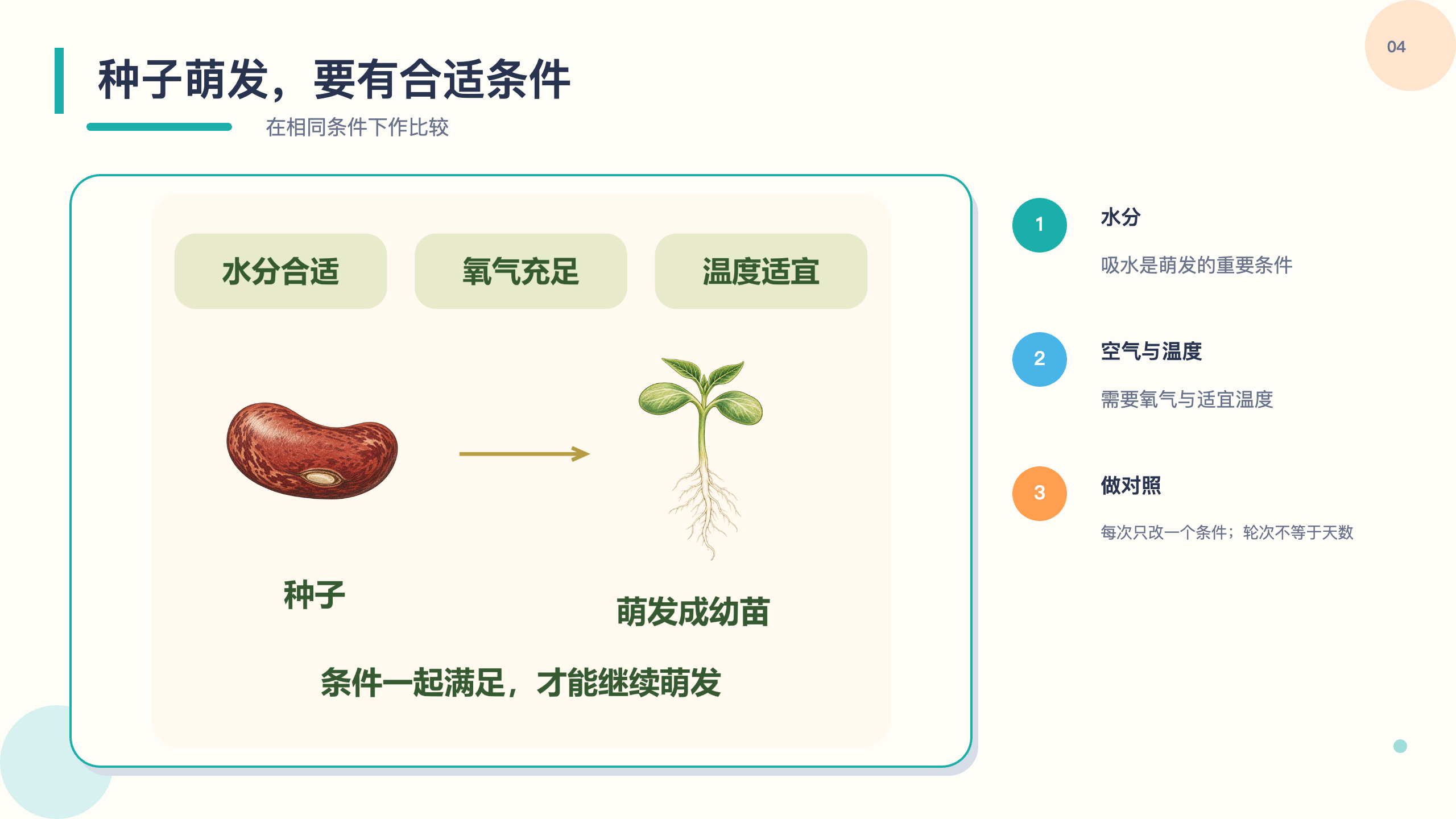 PPT 第 4 页
